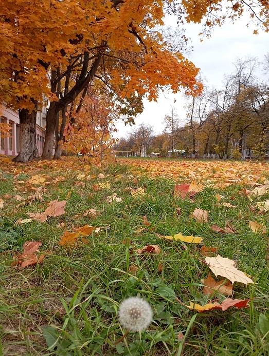 Нижний Новгород, 9 октября 2025