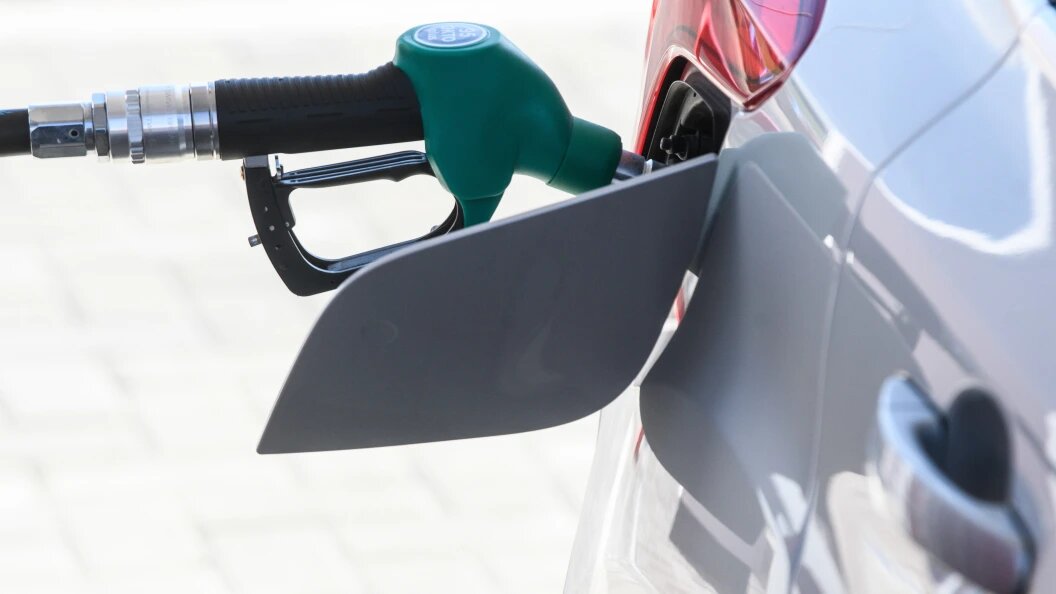    Фото: Ilya Moskovets/Globallookpress