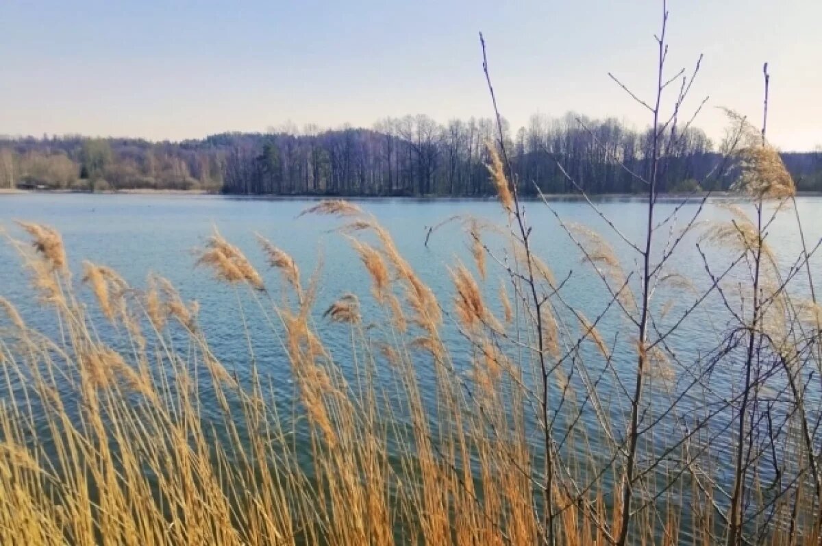    Жителям Крыма рассказали, повлияли ли дожди на уровень воды в реках региона