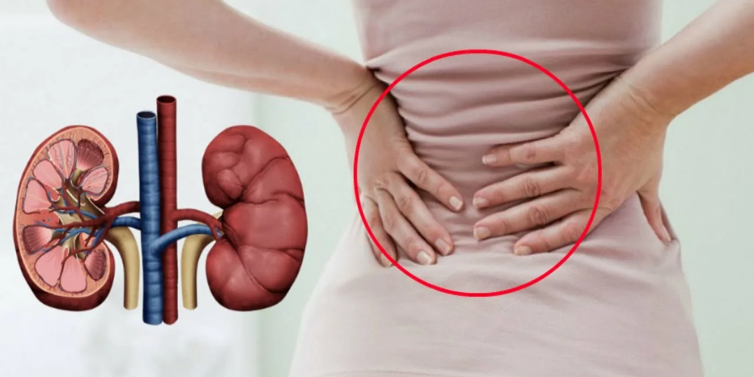 Сухая кожа, привкус металла во рту и еще 7 признаков того, что ваши почки отказывают