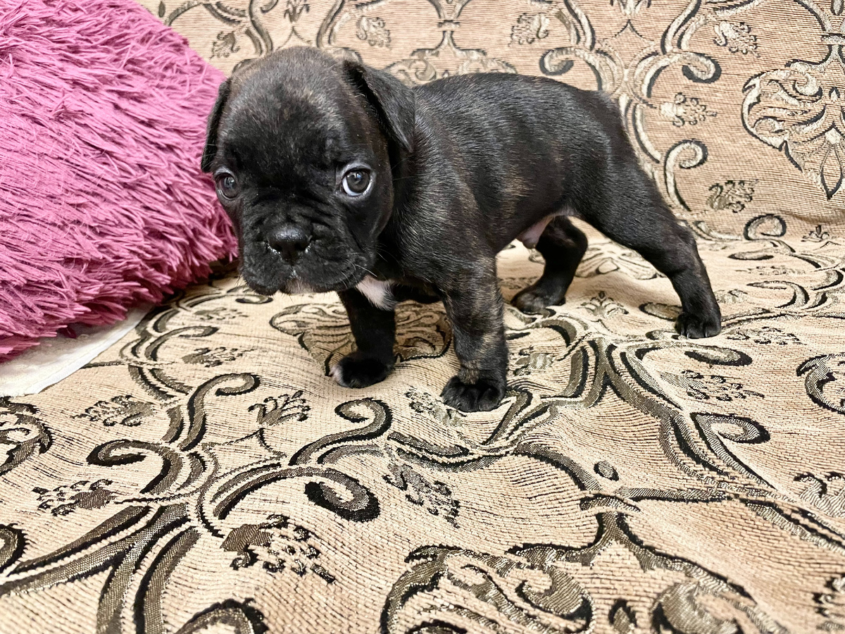 Наше новое счастье.