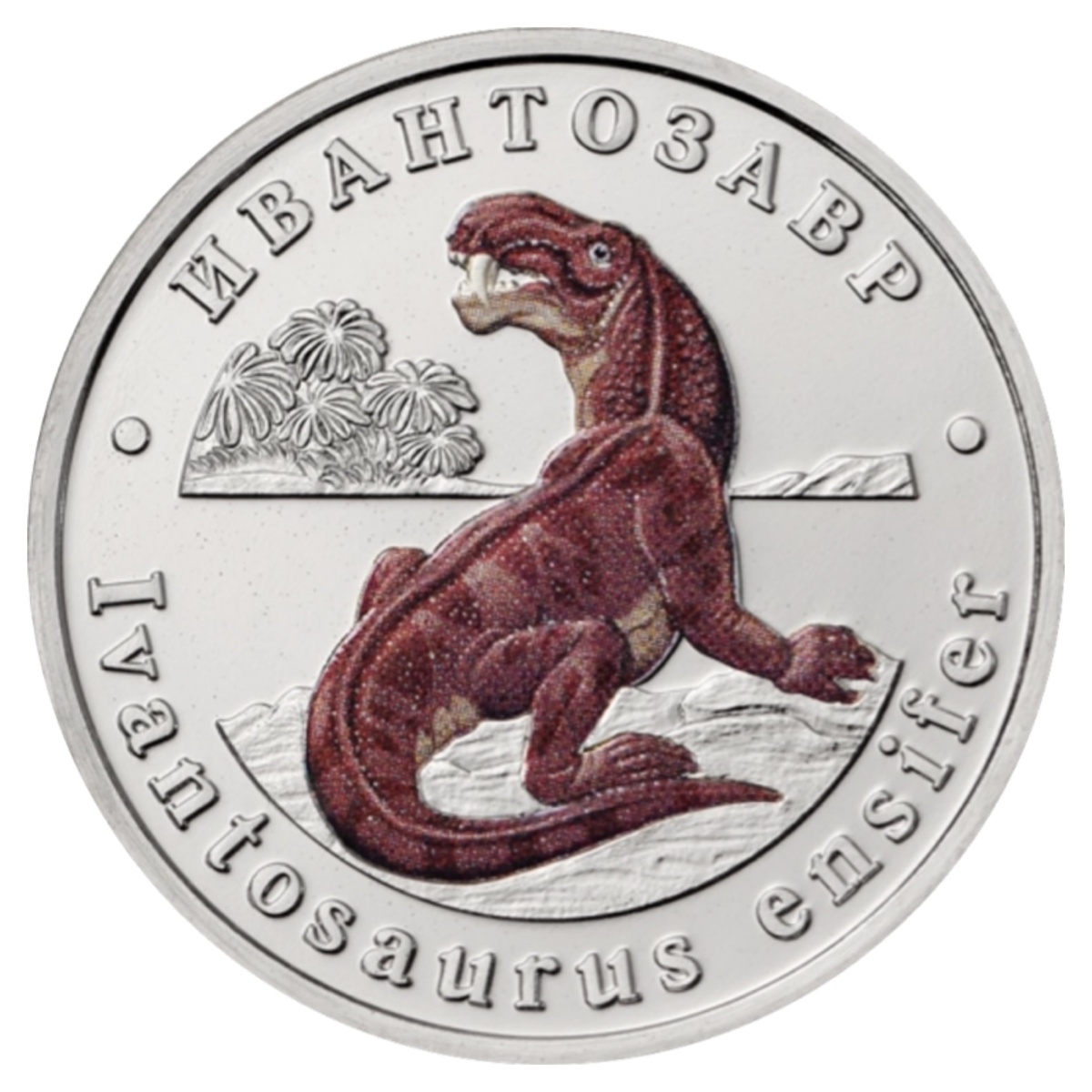 Лицевая сторона жетона