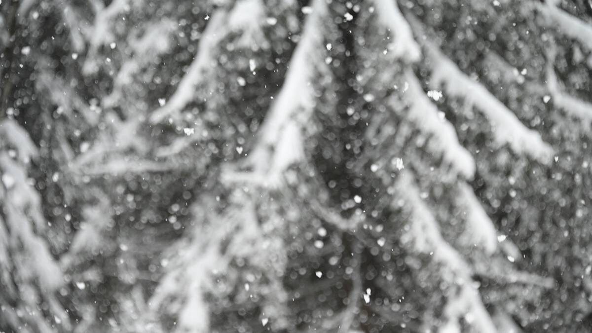    Фото: Пелагия Замятина / Вечерняя Москва