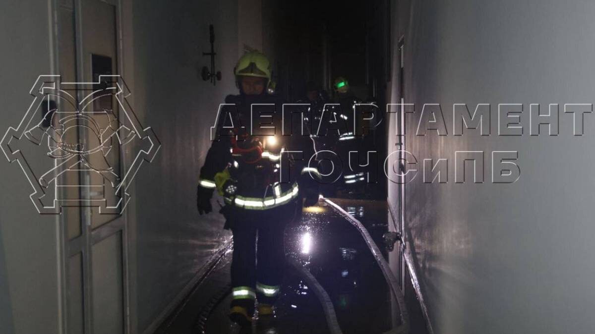    Фото: Департамент по делам гражданской обороны, чрезвычайным ситуациям и пожарной безопасности города Москвы / Telegram