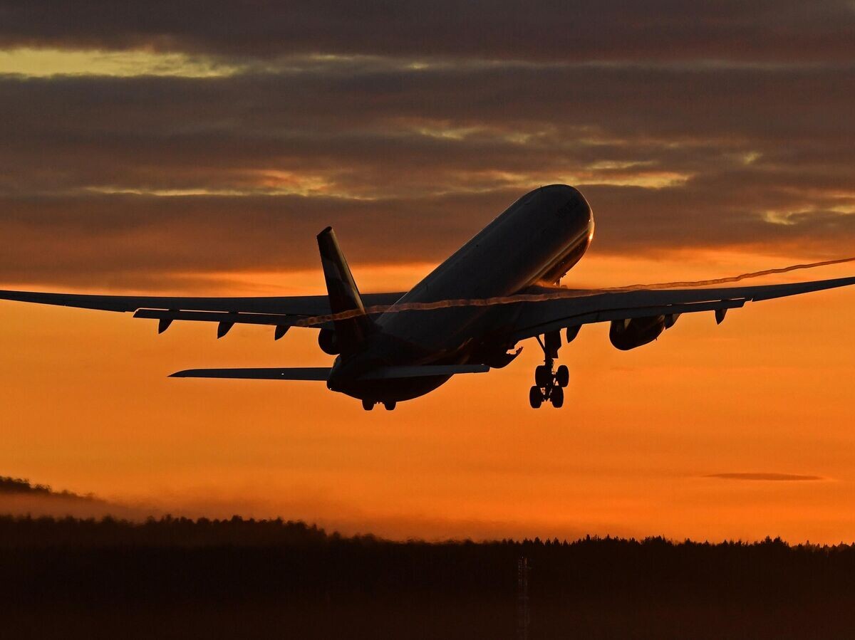    Самолет Airbus 330© РИА Новости / Илья Наймушин