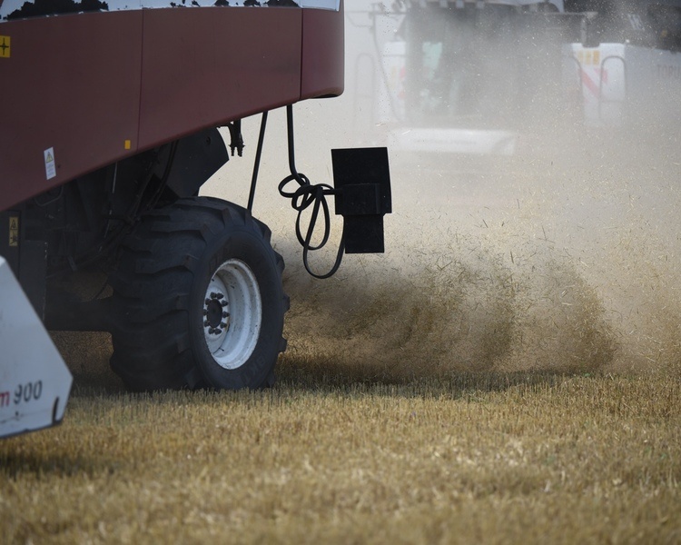     В Курской области 11 тысяч человек получают повышенную пенсию за работу в сельском хозяйстве