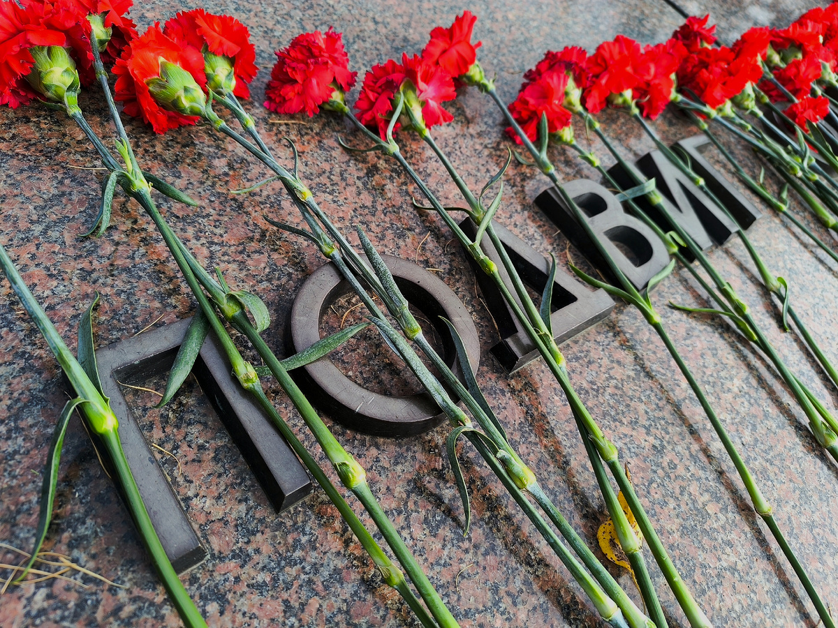 (© Анна, «Маяк энерджайзера»)