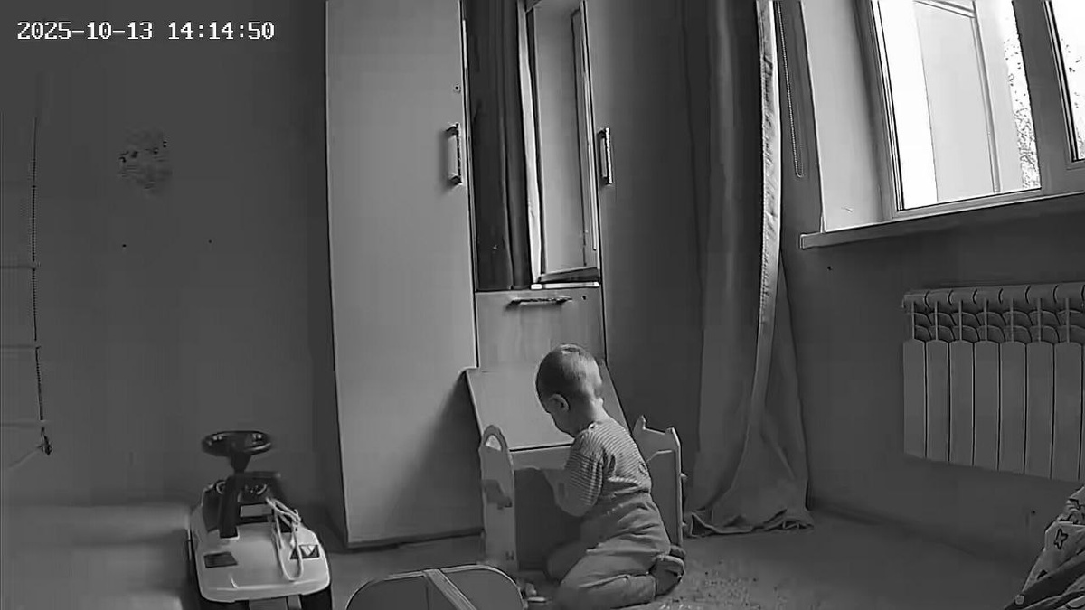 Заинтересовался игрушками