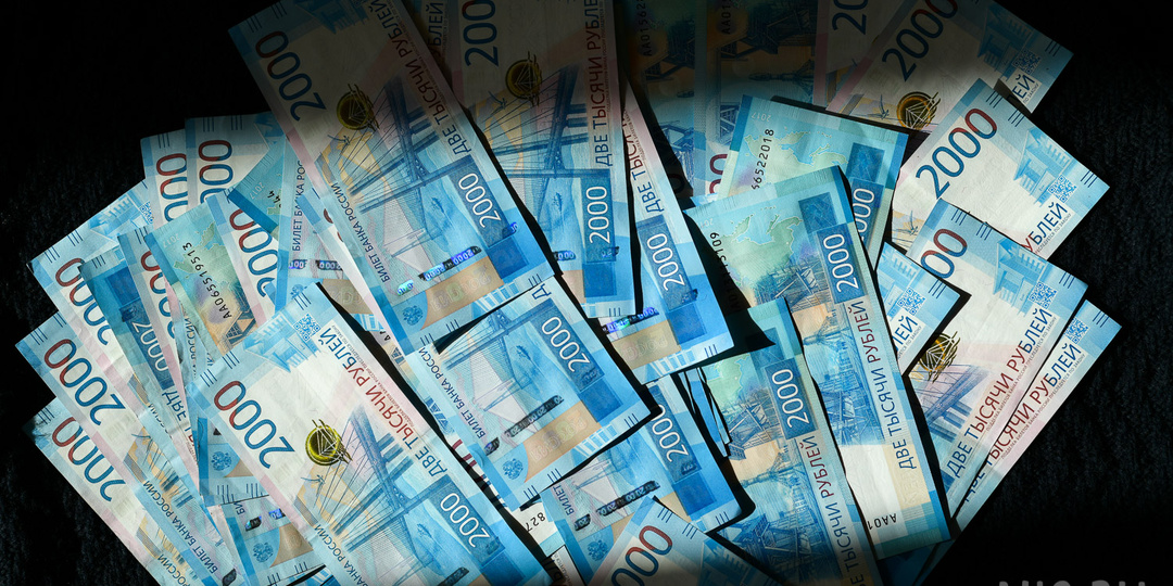 В Новосибирске школьница перевела мошенникам 1,2 млн рублей, порвала паспорт и смыла симку в унитаз