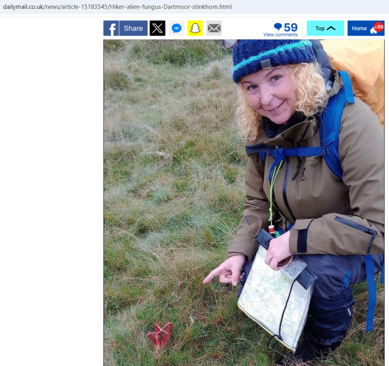    Скриншот Daily Mail