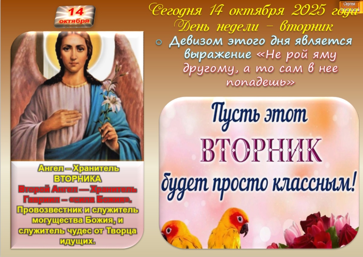 Встречаем новый день