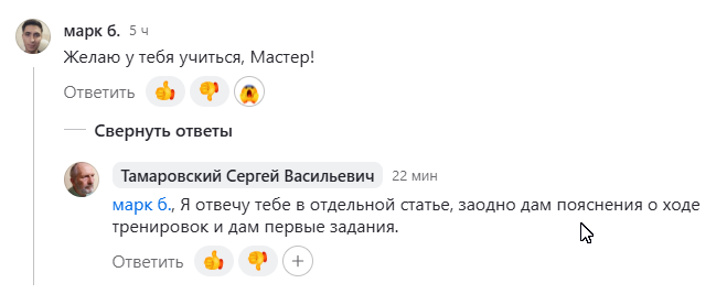 Тамаровский Сергей Васильевич, Сергей-Тимур.