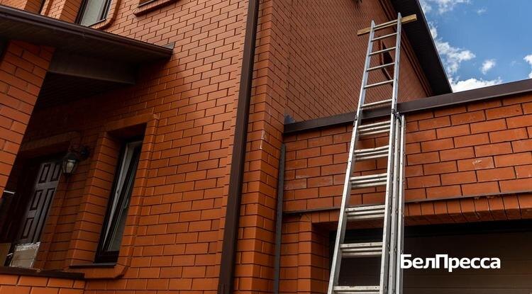 Фото: Алексей Дацковский (архив)