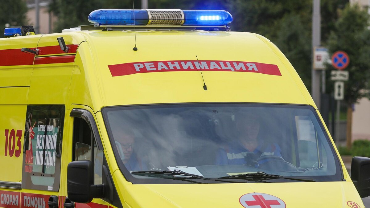    Фото: Shatokhina Natalia/globallookpress.com