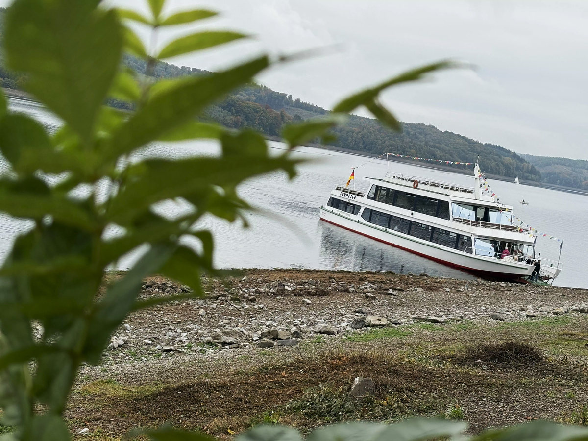 Прокатимся? Фото моё.