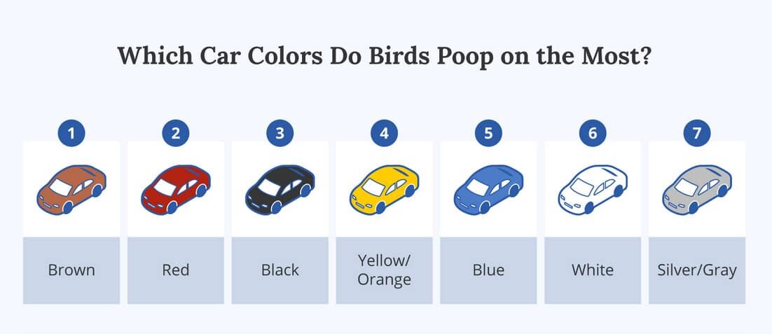   © Alan’s Factory Outlet