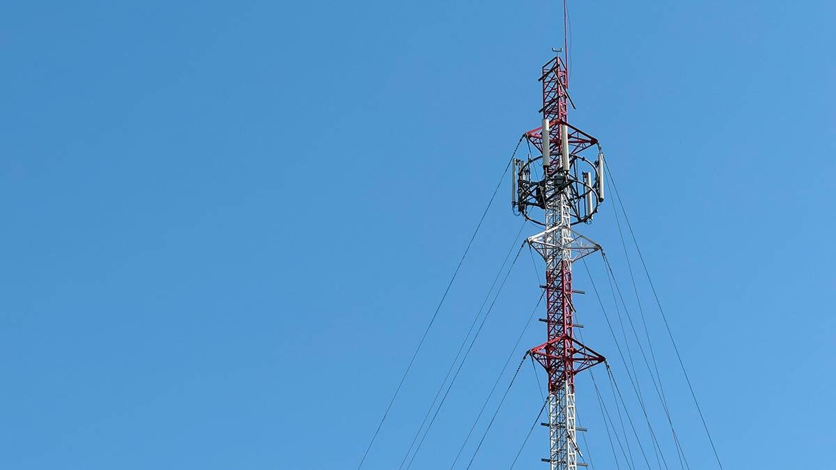    Фото: Shutterstock