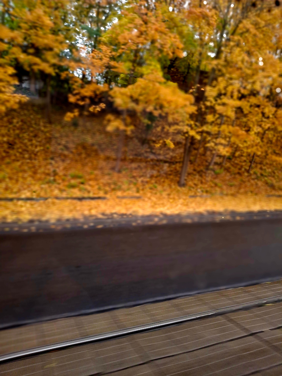 Фото сделано автором