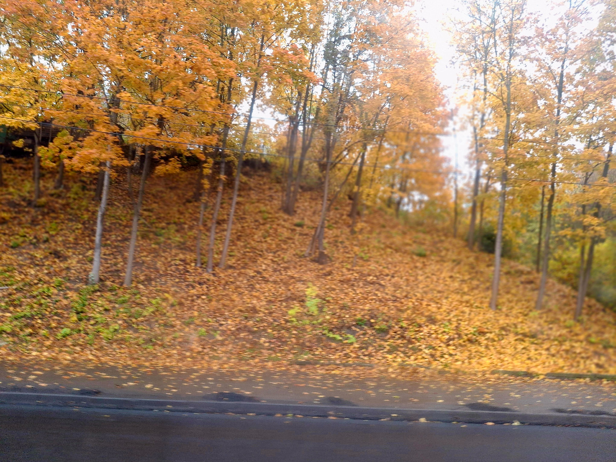 Фотография сделана автором