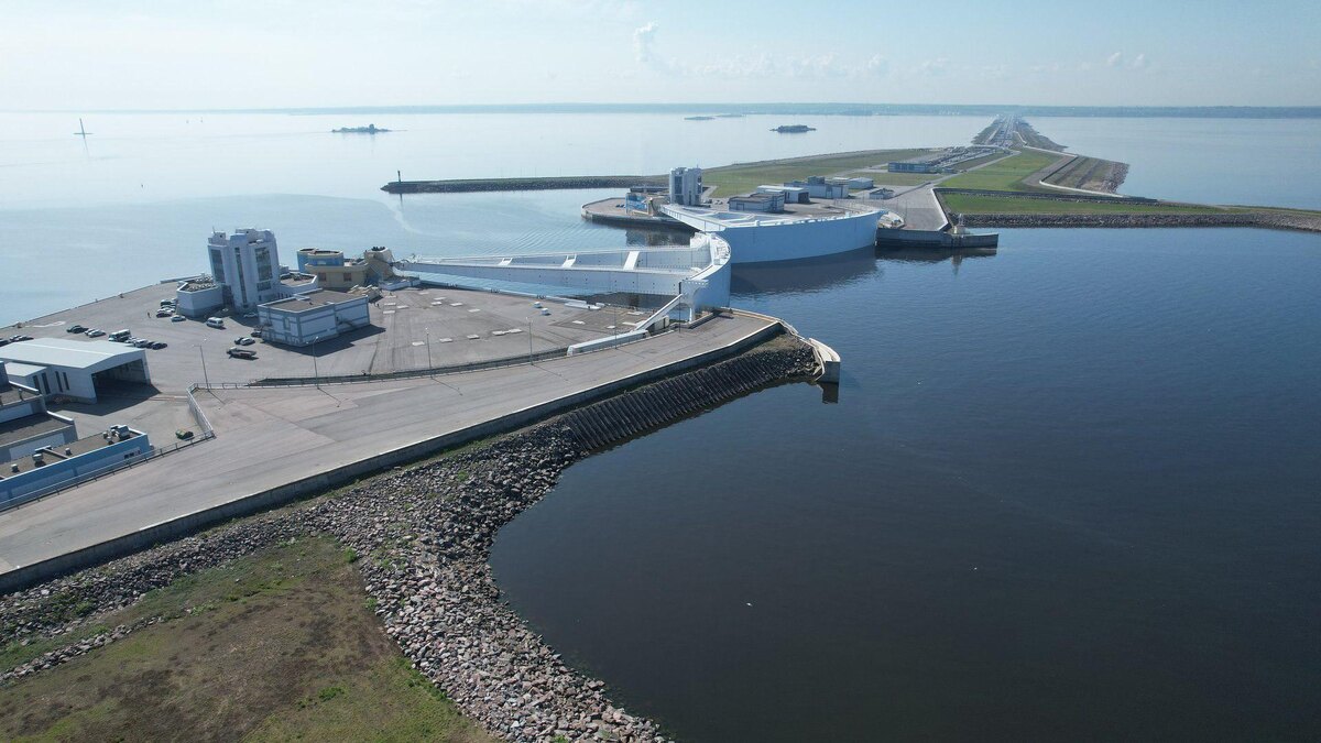    Фото: t.me/dambaspb