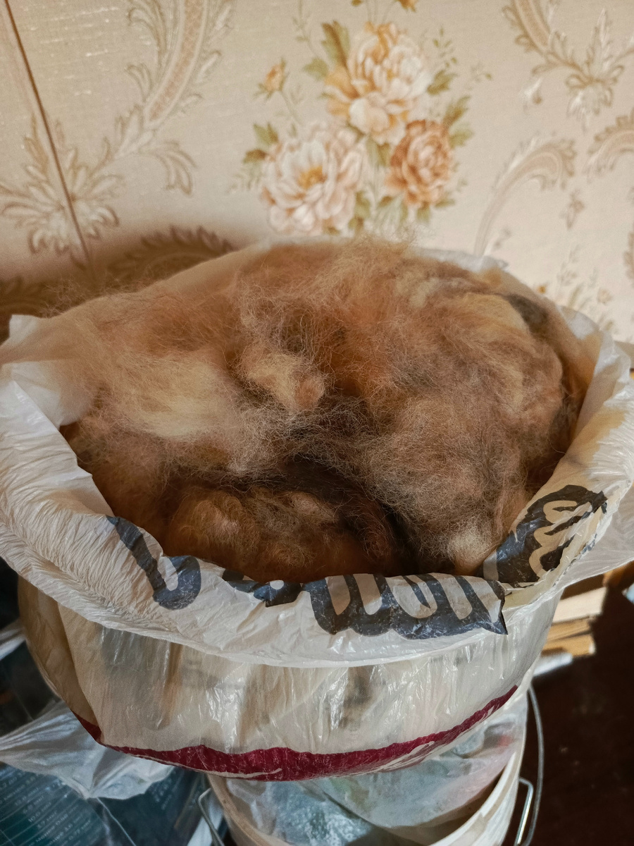 шерсть от шпицев