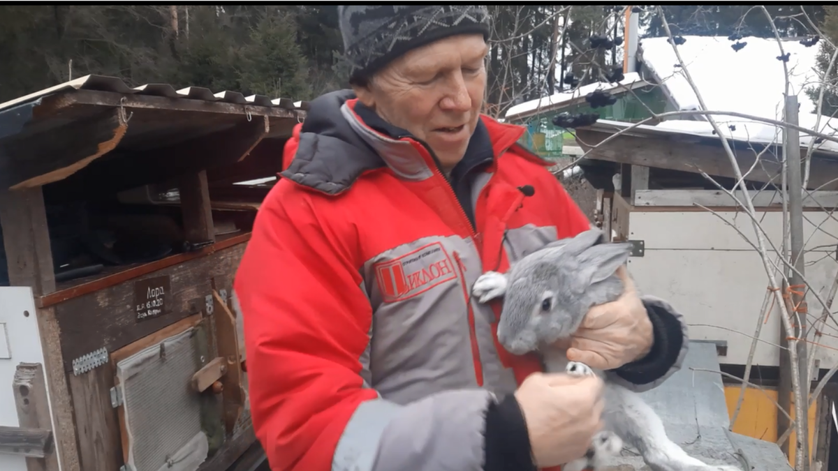 Осмотр молодого животного