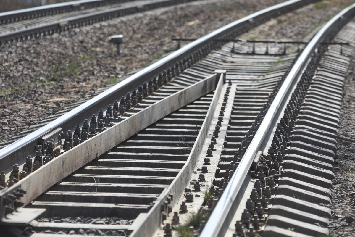 Роман Пименов/«Петербургский дневник»
