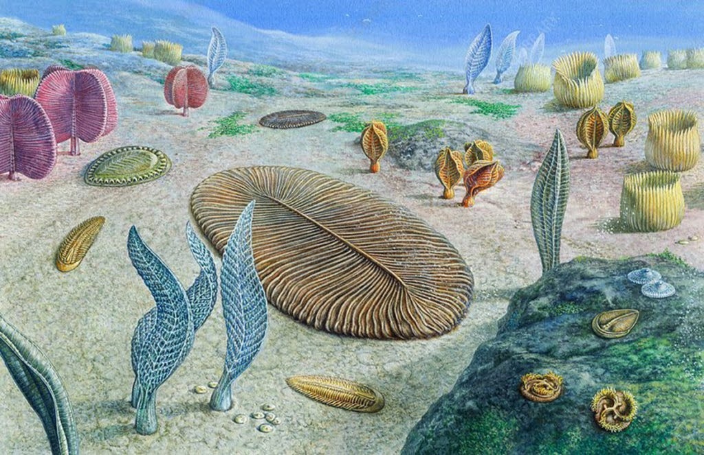 Экосистемы докембрия