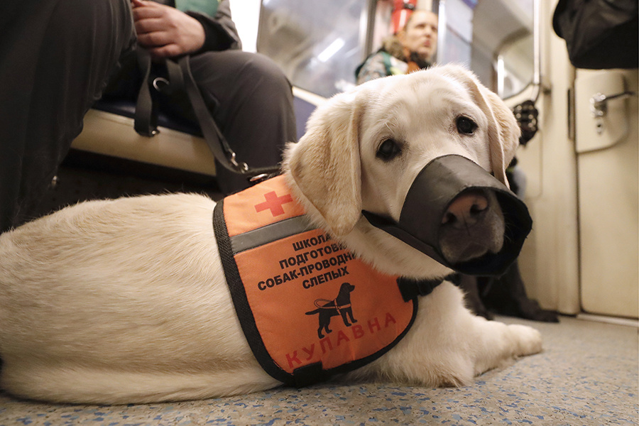    © Михаил Джапаридзе/ТАСС