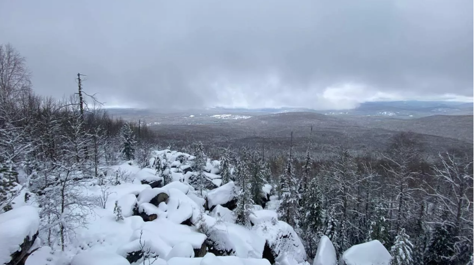 Фото : ГСУ СК России по Красноярскому краю и Республике Хакасия