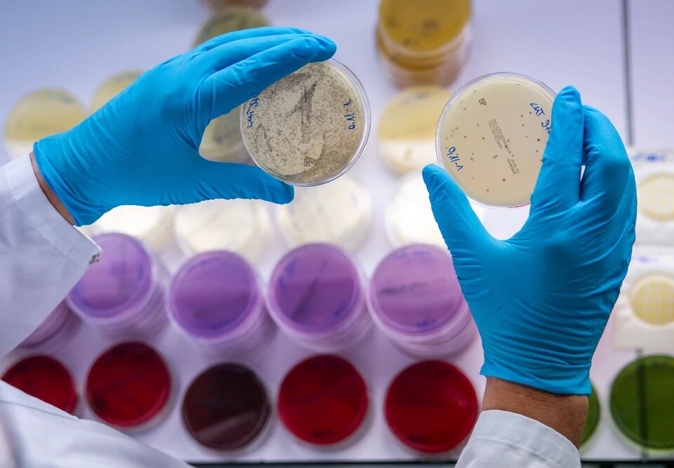 Каждая шестая бактериальная инфекция в 2023 году оказалась устойчивой к антибиотикам