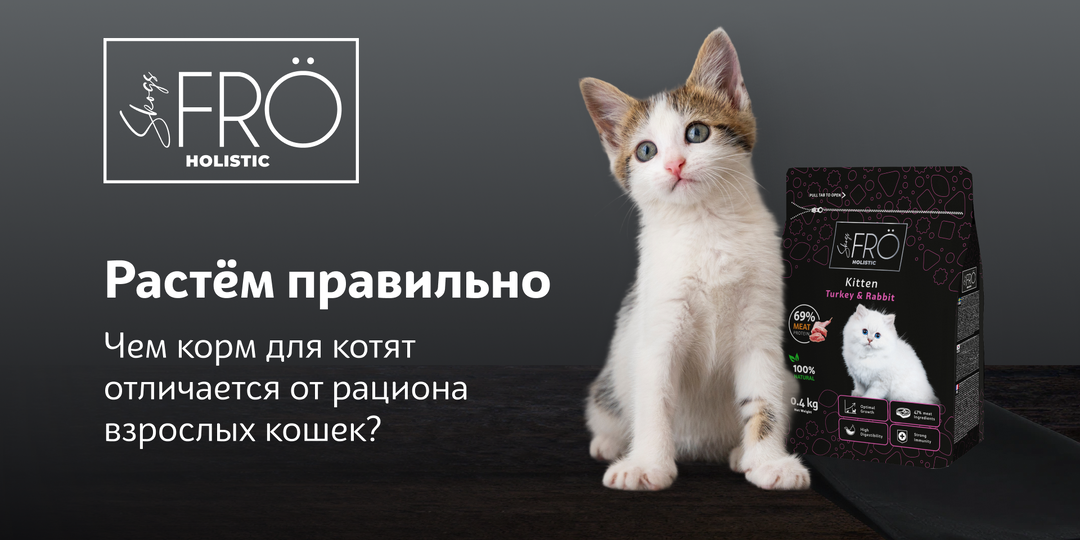 Чем корм для котят отличается от рациона взрослых кошек?
