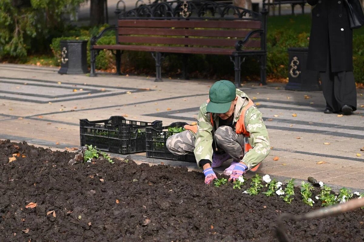    Фото: Андрей Зубов