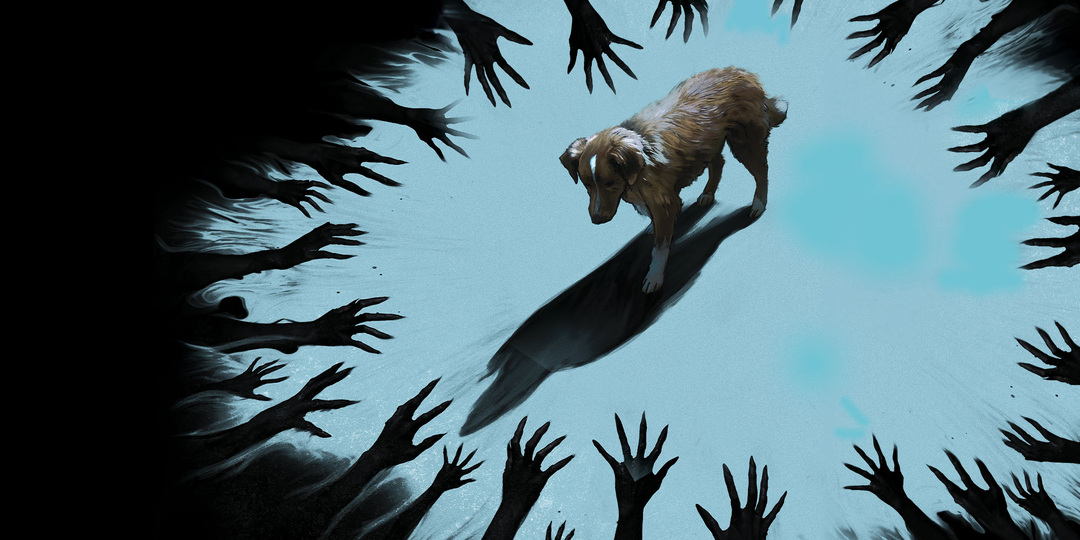 5 причин посмотреть хоррор «Глазами пса»