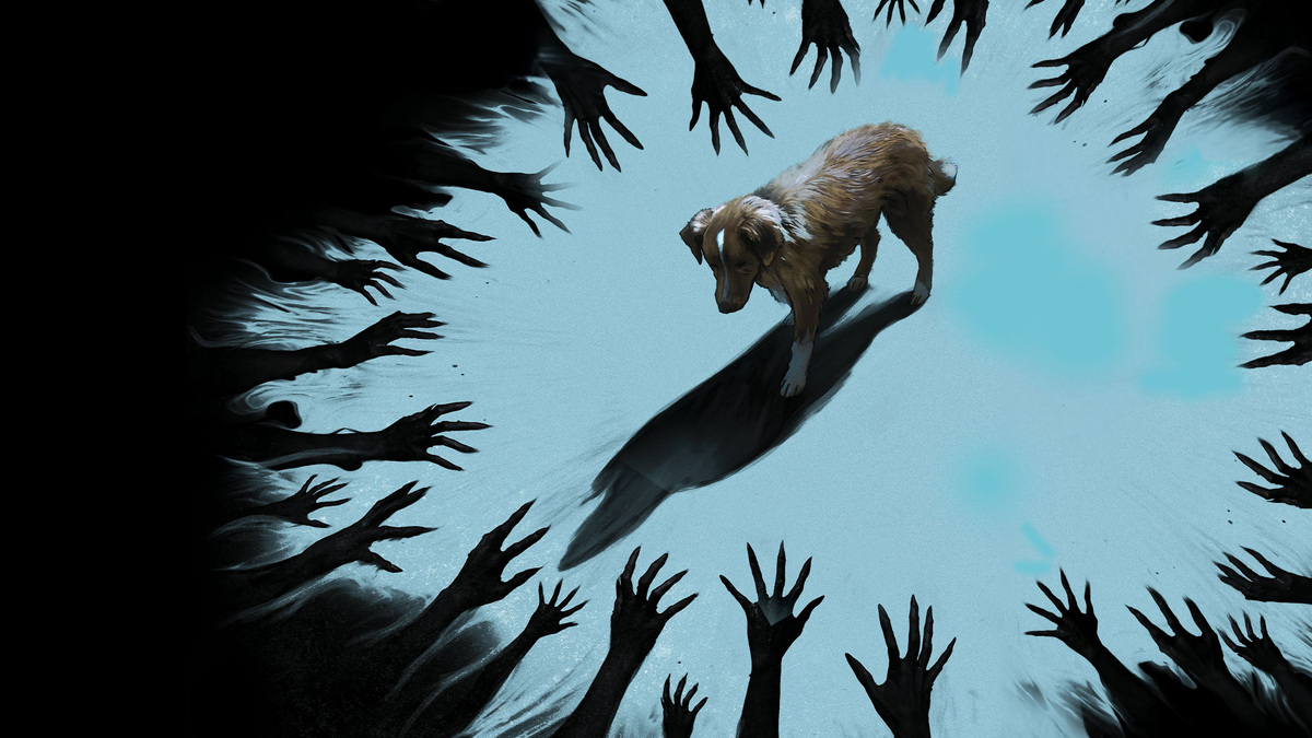 Кадр из фильма «Глазами пса»