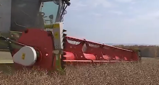     В Красноярском крае аграрии завершают уборочную кампанию