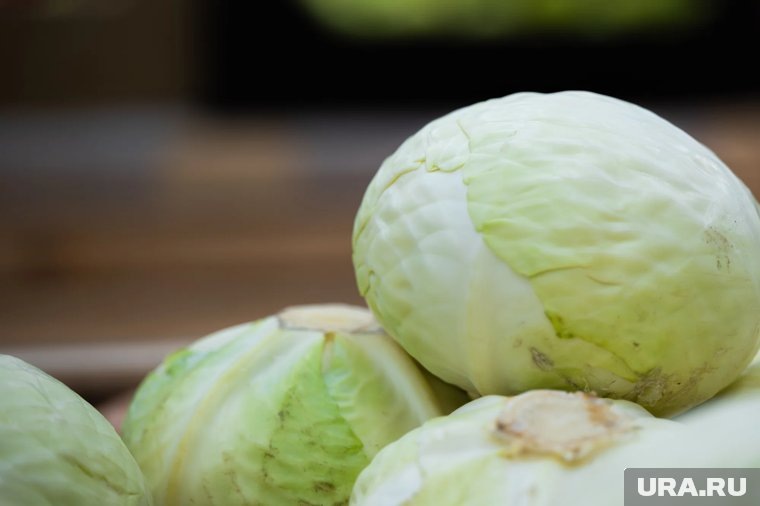 Капуста на зиму 2025: 10 рецептов маринованной и квашеной капусты в банках