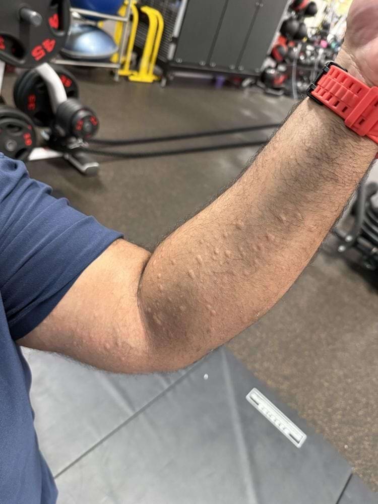 Источник: AsianMuscleMommy22/reddit