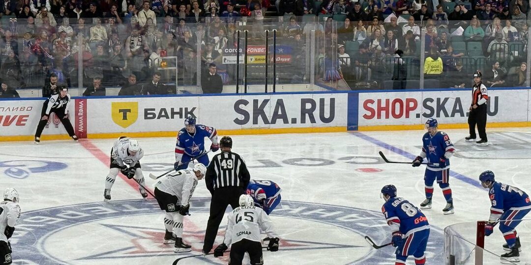 Не то, что по телеку: впервые сходила на хоккей! Читайте, как это было