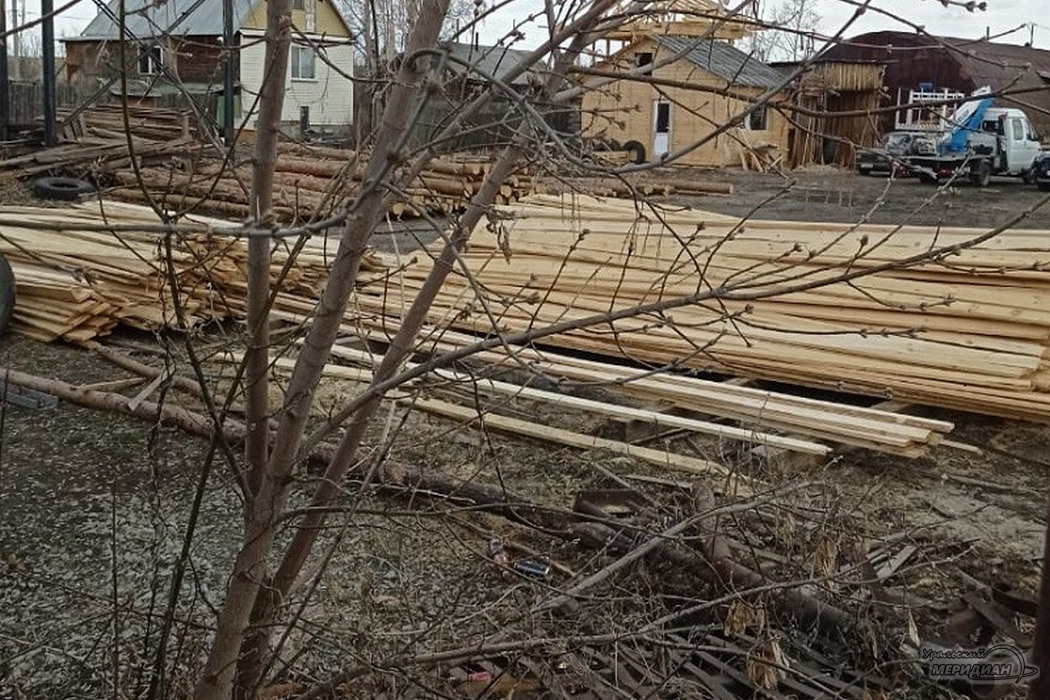    Фото: читатель © ИА «Уральский меридиан»