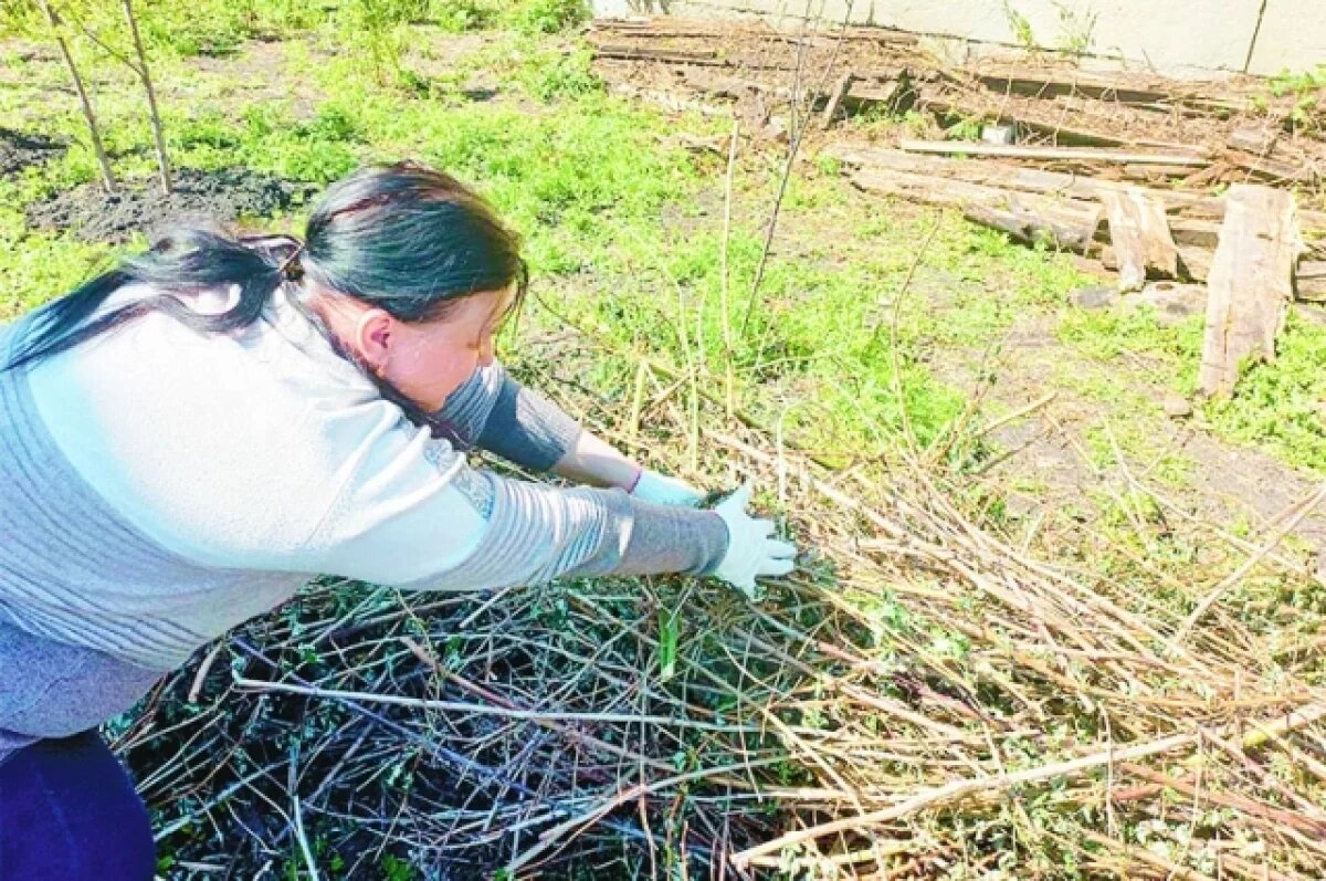    Златогорский о вывозе мусора: «Этот труд должен оплачиваться»