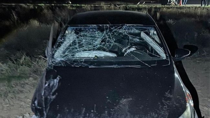      Фото: Госавтоинспекция Ставрополья