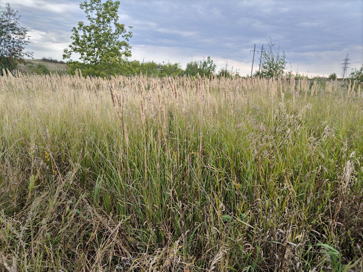 Фото автора.