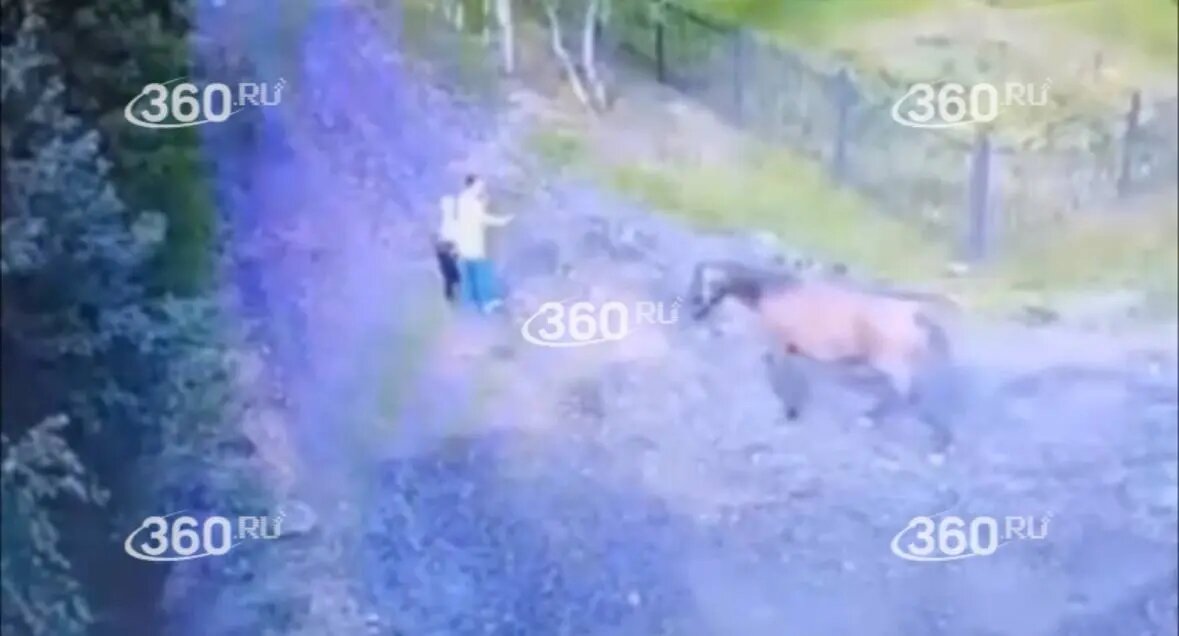    Фото: скриншот видео 360.ru