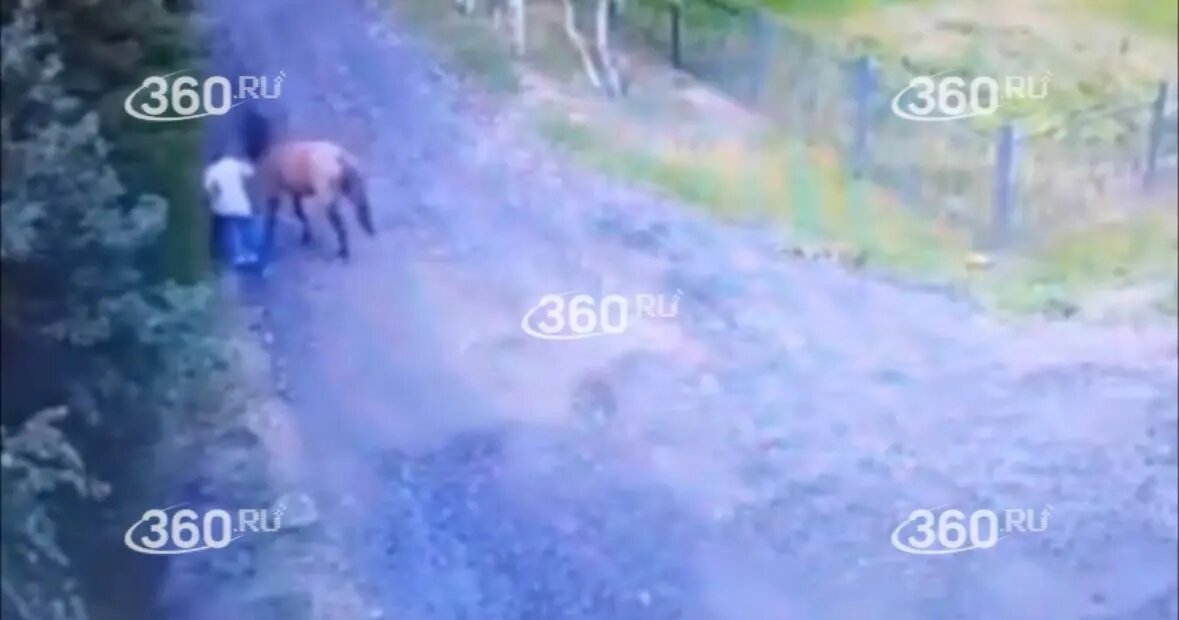    Фото: скриншот видео 360.ru