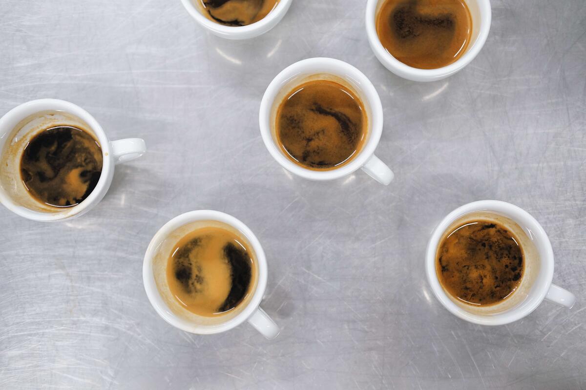 Личная норма потребления кофе зависит от возраста, состояния здоровья, образа жизни, вредных привычек и особенностей организма/span>