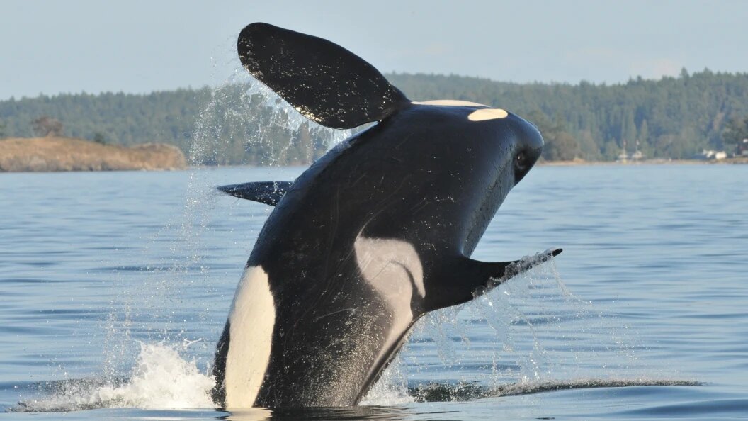    Cover Images/Keystone Press Agency/Globallookpress