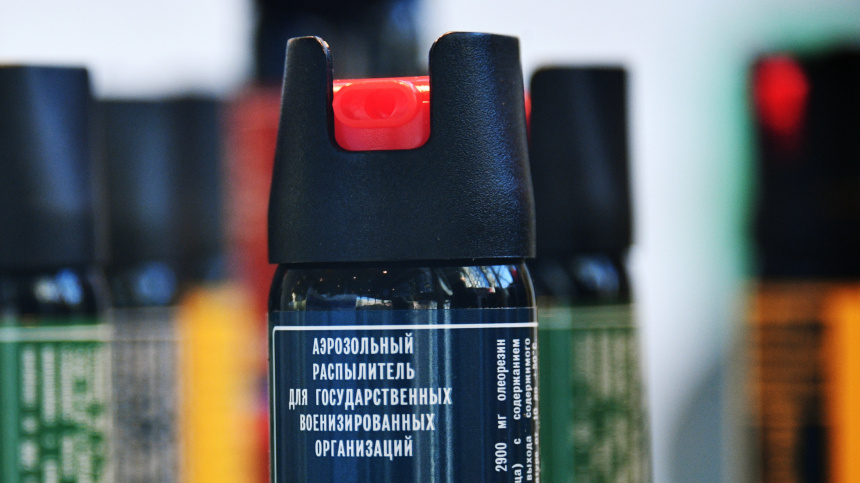    Фото: © РИА Новости/Евгений Биятов; 5-tv.ru