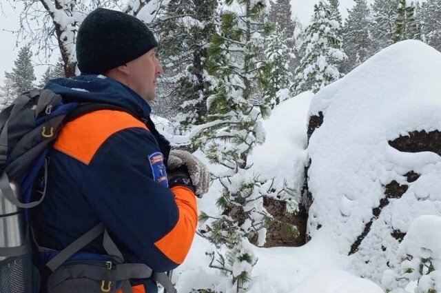    Фото: Лиза Алерт