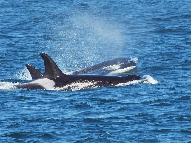    Фото: 123RF/pr2is